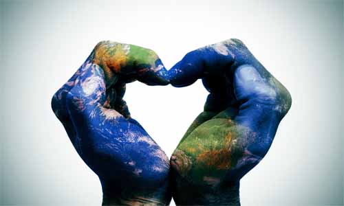 VITAHCO Culture VITAHCO Culture